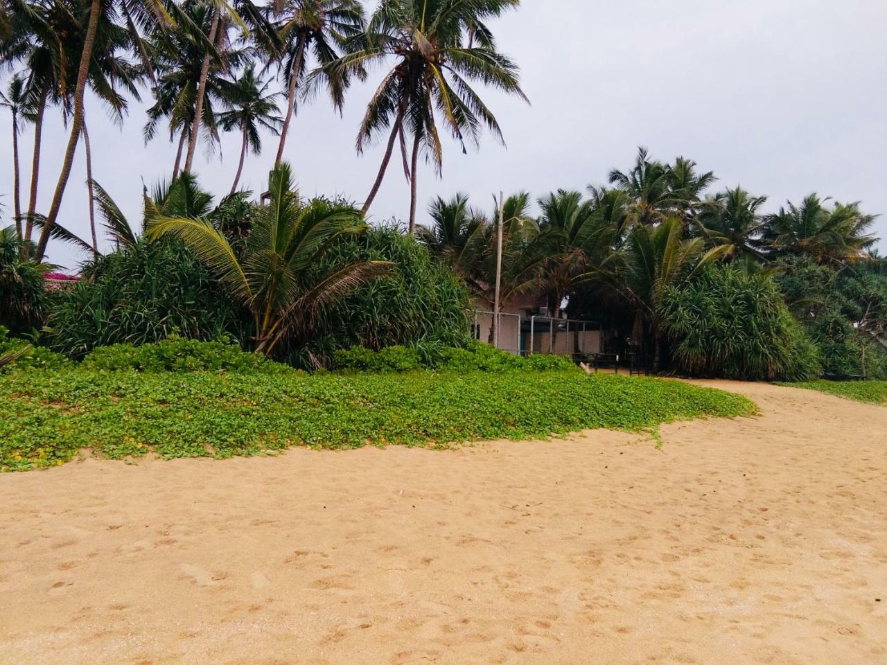 Hikkaduwa Backyard * Galle