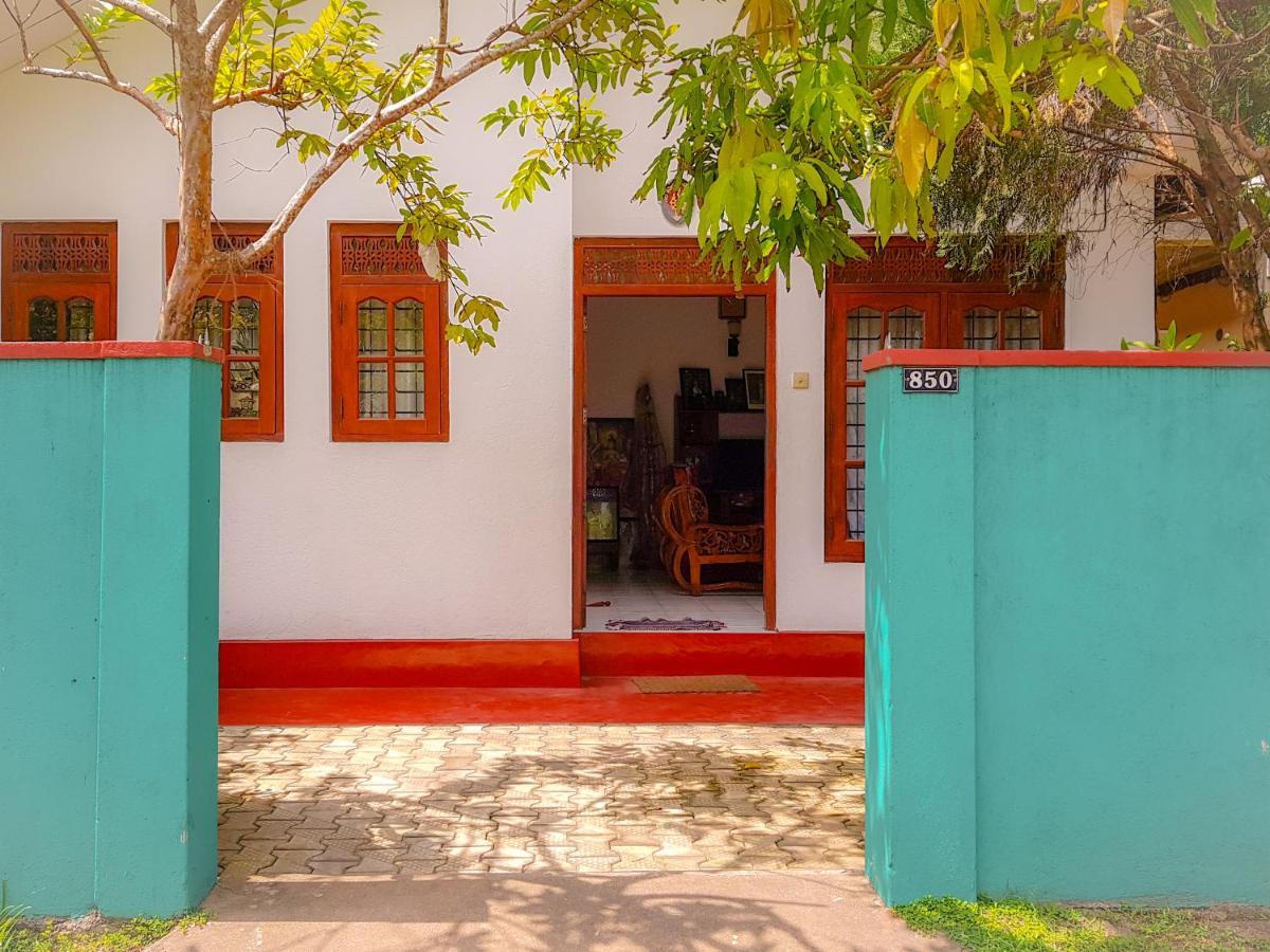 Hikkaduwa Backyard *