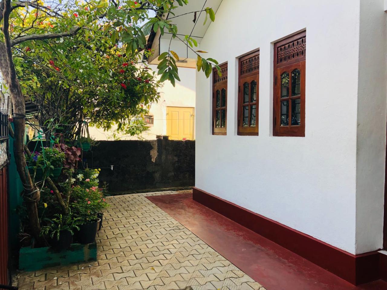 Homestay Hikkaduwa Backyard