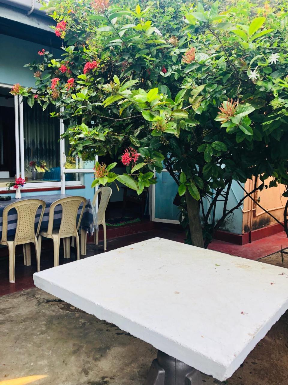Homestay Hikkaduwa Backyard *