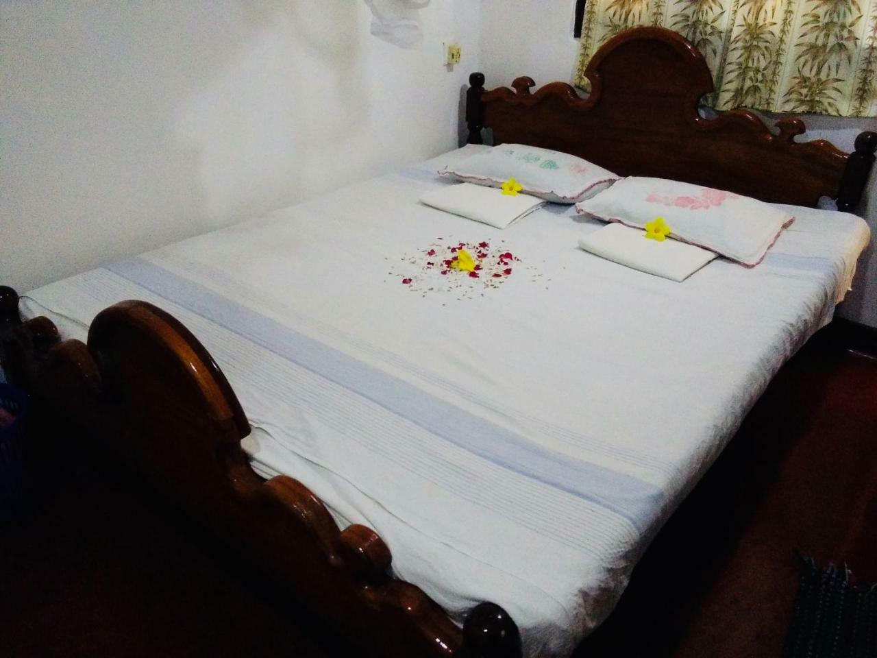 Homestay Hikkaduwa Backyard *