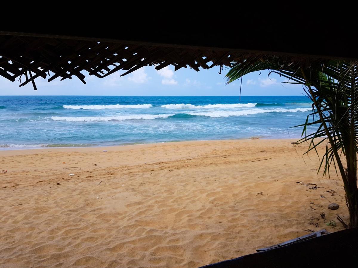 Hikkaduwa Backyard * Galle