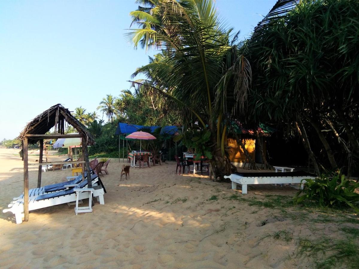 Hikkaduwa Backyard Galle