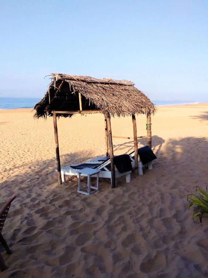 Hikkaduwa Backyard Homestay Galle