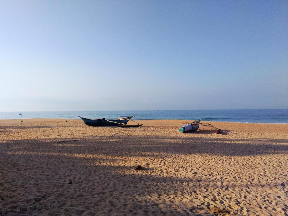 Hikkaduwa Backyard *